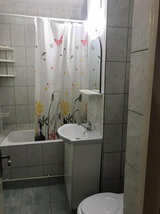 Apartament Confortabil Pitesti Luaran gambar